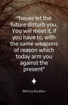 Marcus Aurelius "Future" Art Quote (11" x 17")