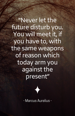 Marcus Aurelius "Future" Art Quote (11" x 17")