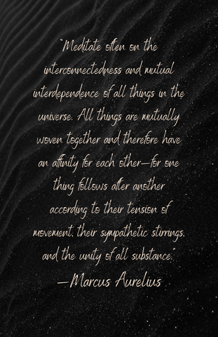 Marcus Aurelius "Meditate" Art Quote (11" x 17")